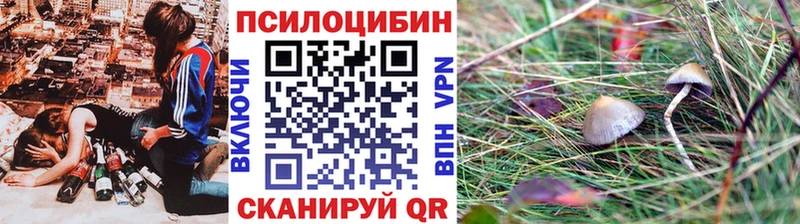 Псилоцибиновые грибы мицелий  Миасс 