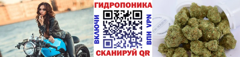 Конопля план Миасс